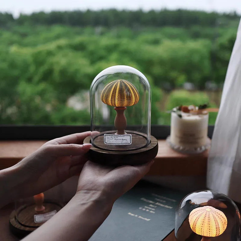 Mini Nachtlicht mit Seeigel-Pilz – LED Glasdome Lampe auf Holzsockel für Deko, Schreibtisch & Geschenkideen