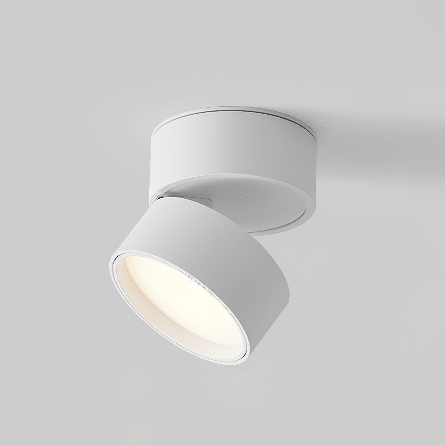 Drehbare Deckenleuchte im minimalistischen Design – Spotlampe für Wohnzimmer, Flur & Arbeitsbereich