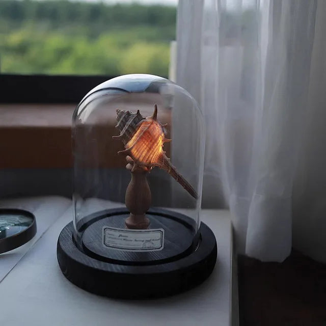 Mini Nachtlicht mit Seeigel-Pilz – LED Glasdome Lampe auf Holzsockel für Deko, Schreibtisch & Geschenkideen
