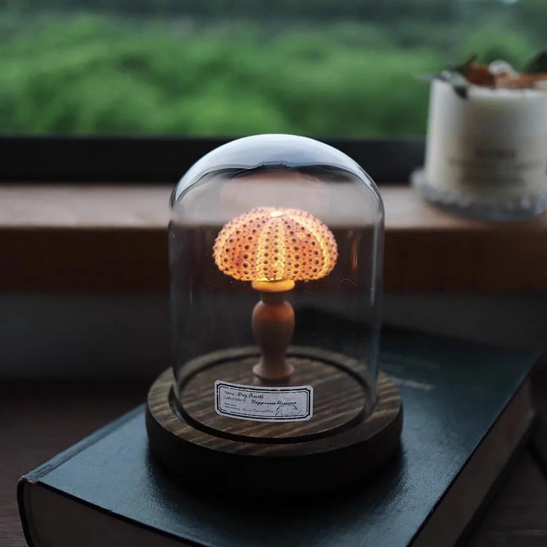 Mini Nachtlicht mit Seeigel-Pilz – LED Glasdome Lampe auf Holzsockel für Deko, Schreibtisch & Geschenkideen