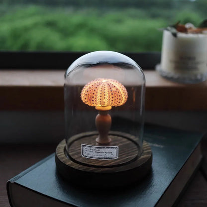 Mini Nachtlicht mit Seeigel-Pilz – LED Glasdome Lampe auf Holzsockel für Deko, Schreibtisch & Geschenkideen