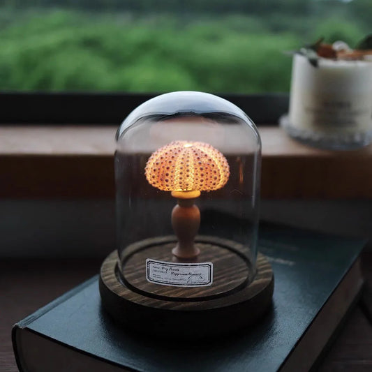 Mini Nachtlicht mit Seeigel-Pilz – LED Glasdome Lampe auf Holzsockel für Deko, Schreibtisch & Geschenkideen