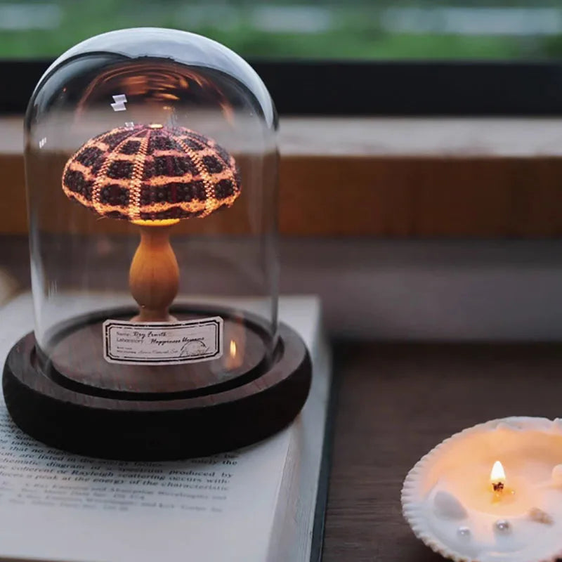 Mini Nachtlicht mit Seeigel-Pilz – LED Glasdome Lampe auf Holzsockel für Deko, Schreibtisch & Geschenkideen