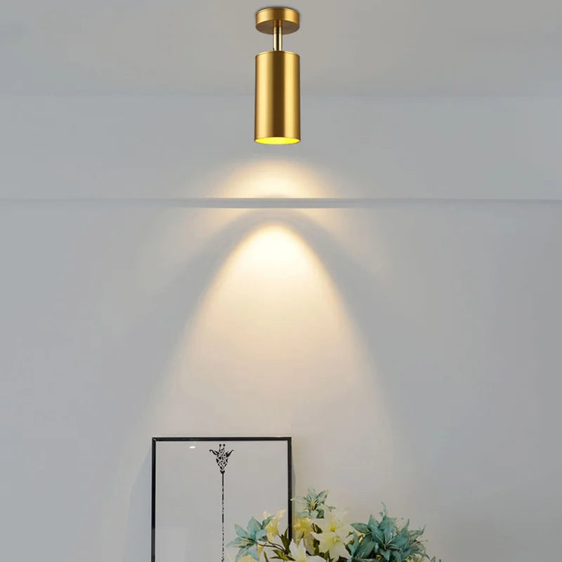 Moderne drehbare LED-Deckenleuchte aus Gold – Verstellbare Beleuchtung für Wohn- und Arbeitsbereiche