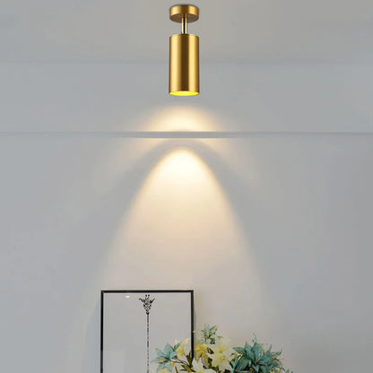 Moderne drehbare LED-Deckenleuchte aus Gold – Verstellbare Beleuchtung für Wohn- und Arbeitsbereiche