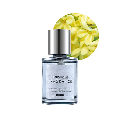 Auto-Diffusor mit Ultraschalltechnologie – Duftspender für Auto & Zuhause mit 160 ml Tank & Duftauswahl