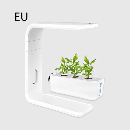 Slim Indoor Hydroponic Pflanzsystem – Kompakte Indoor-Gartenlösung ohne Erde