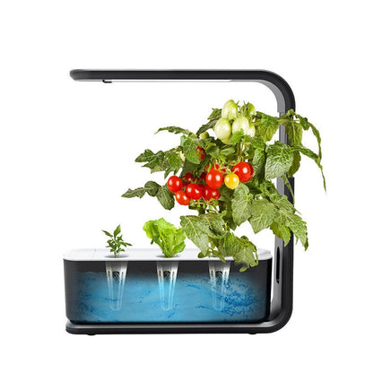 Slim Indoor Hydroponic Pflanzsystem – Kompakte Indoor-Gartenlösung ohne Erde