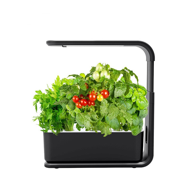 Slim Indoor Hydroponic Pflanzsystem – Kompakte Indoor-Gartenlösung ohne Erde