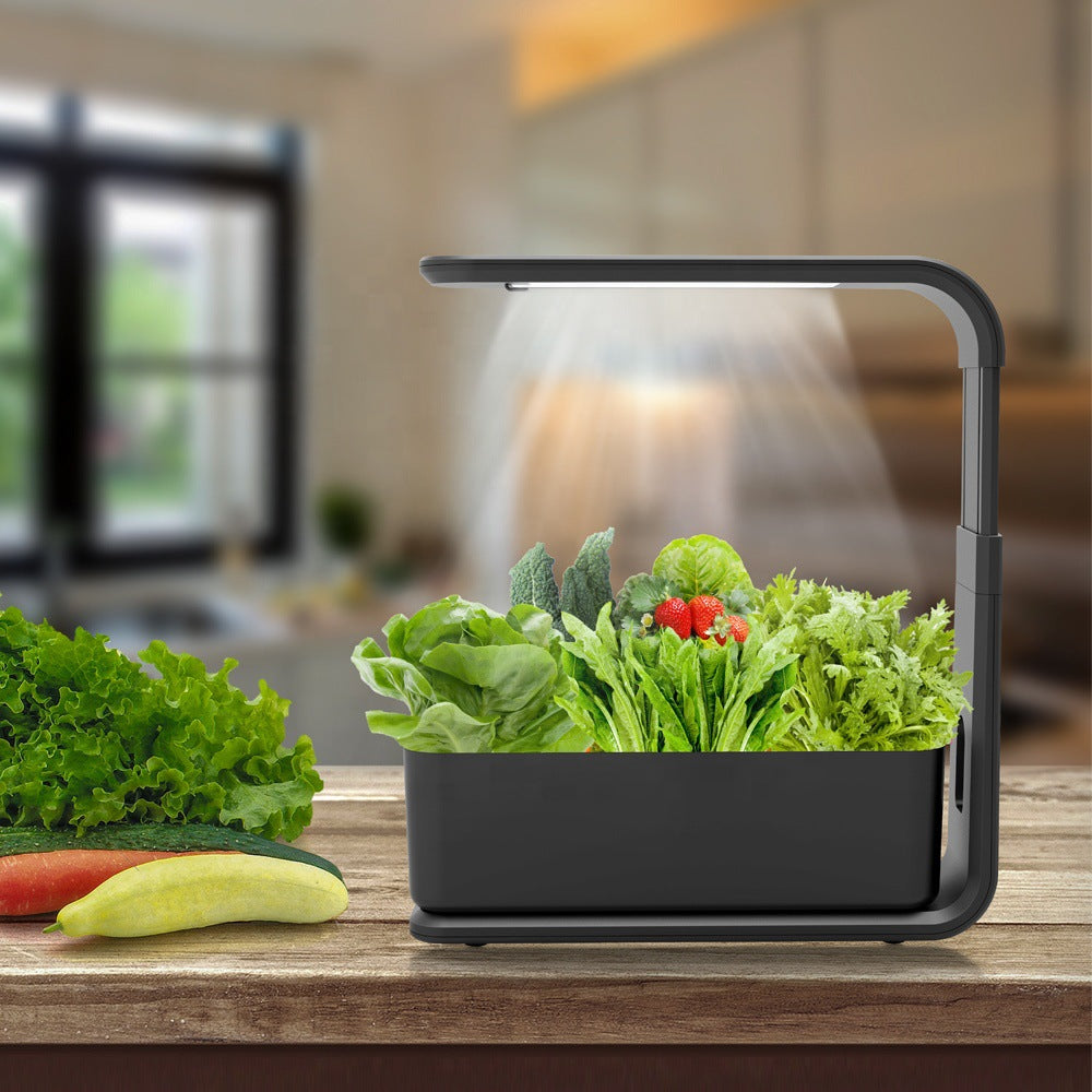 Slim Indoor Hydroponic Pflanzsystem – Kompakte Indoor-Gartenlösung ohne Erde