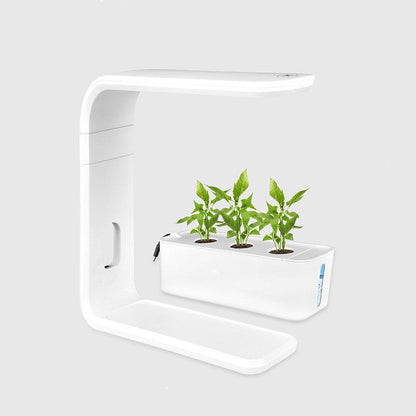 Slim Indoor Hydroponic Pflanzsystem – Kompakte Indoor-Gartenlösung ohne Erde